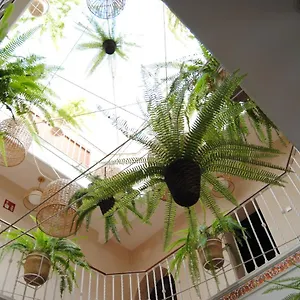 Cordoba Maison d'hôtes